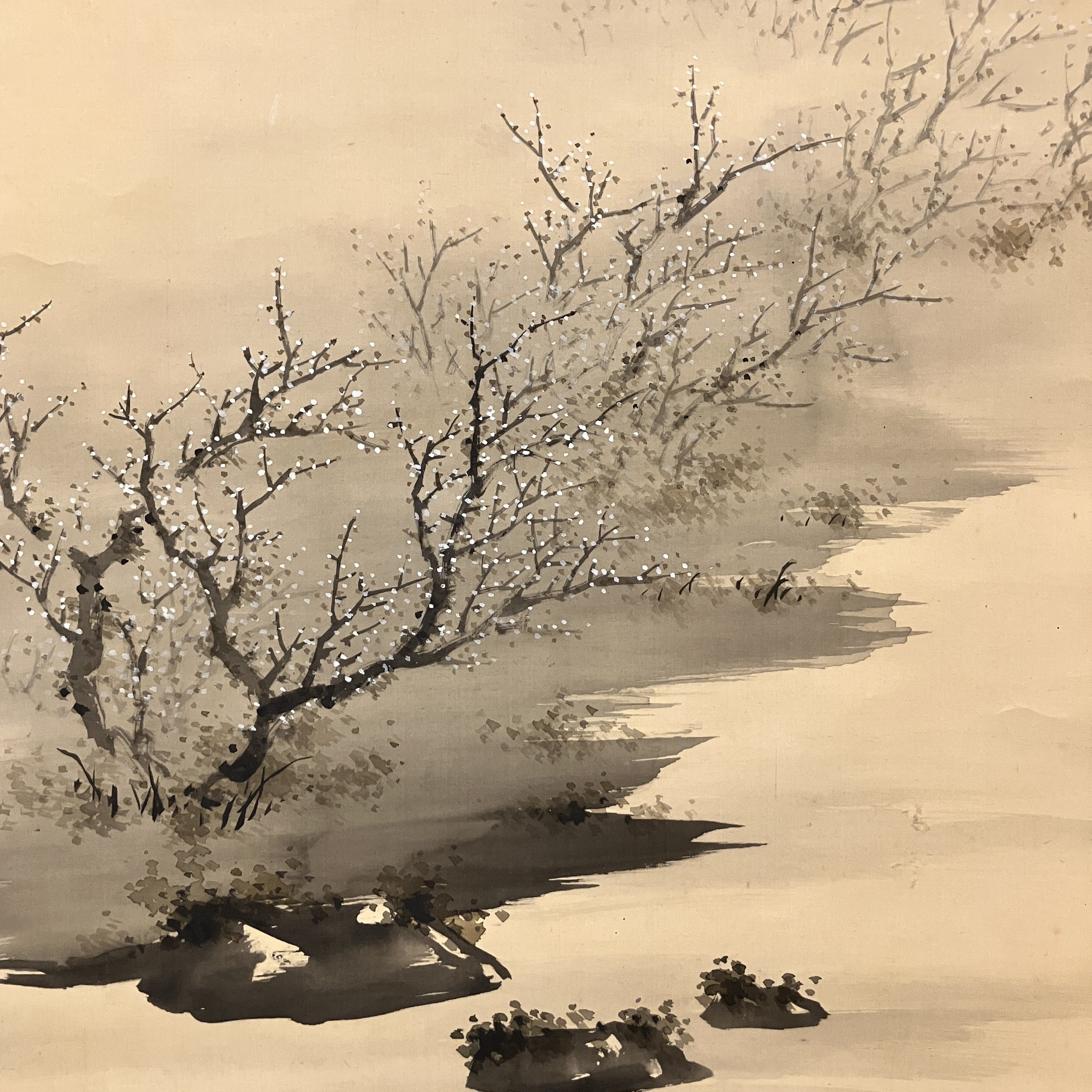 FUJI with Cherry blossom